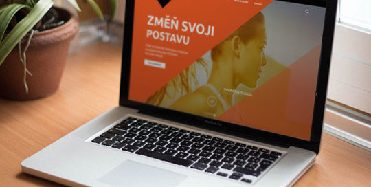 Ukázka redesign nových internetových stránek pro posilovnu ViaVestra, v ceně Viavestra byla také reklamní kampaň pomocí modelu PPC