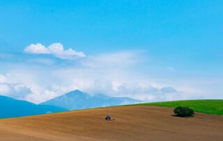 green grass field near mountain under blue sky during daytime